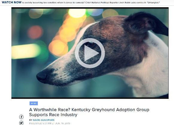 Kentucky Greyhound Adoption Group Supports Race Industry